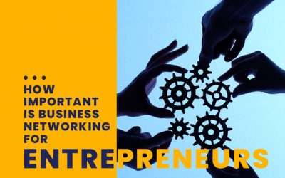 How Important Business Networking for Entrepreneurs