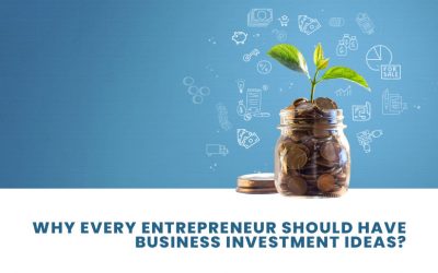 Why Every Entrepreneur Should Have Business Investment Ideas?