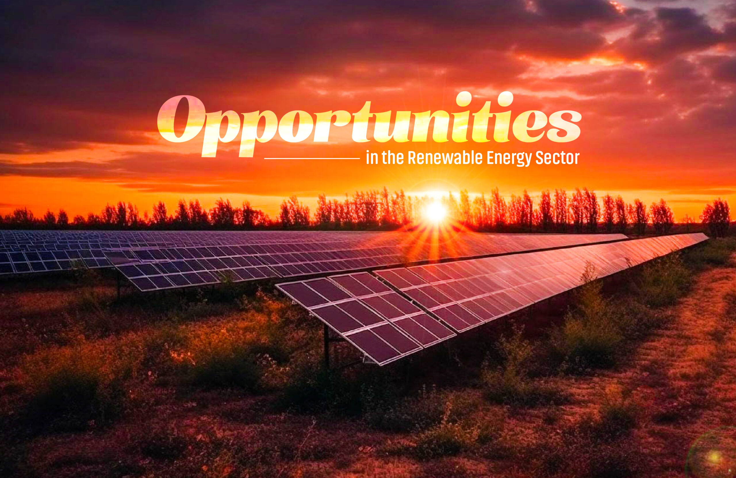 Opportunities in the Renewable Energy Sector