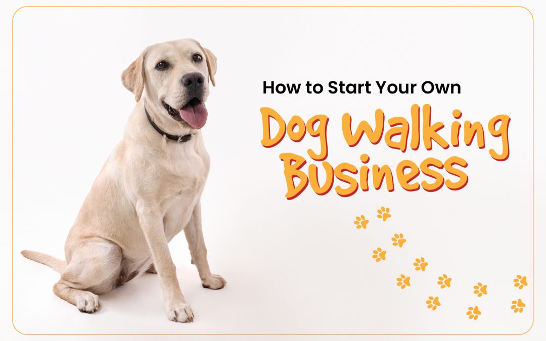 How to Start Your Own Dog Walking Business?