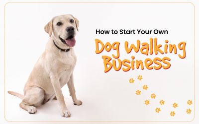 How to Start Your Own Dog Walking Business?