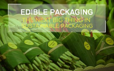 Edible Packaging: The Next Big Thing in Sustainable Packaging