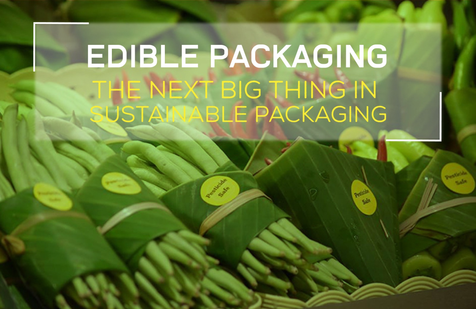 Edible Packaging: The Next Big Thing in Sustainable Packaging