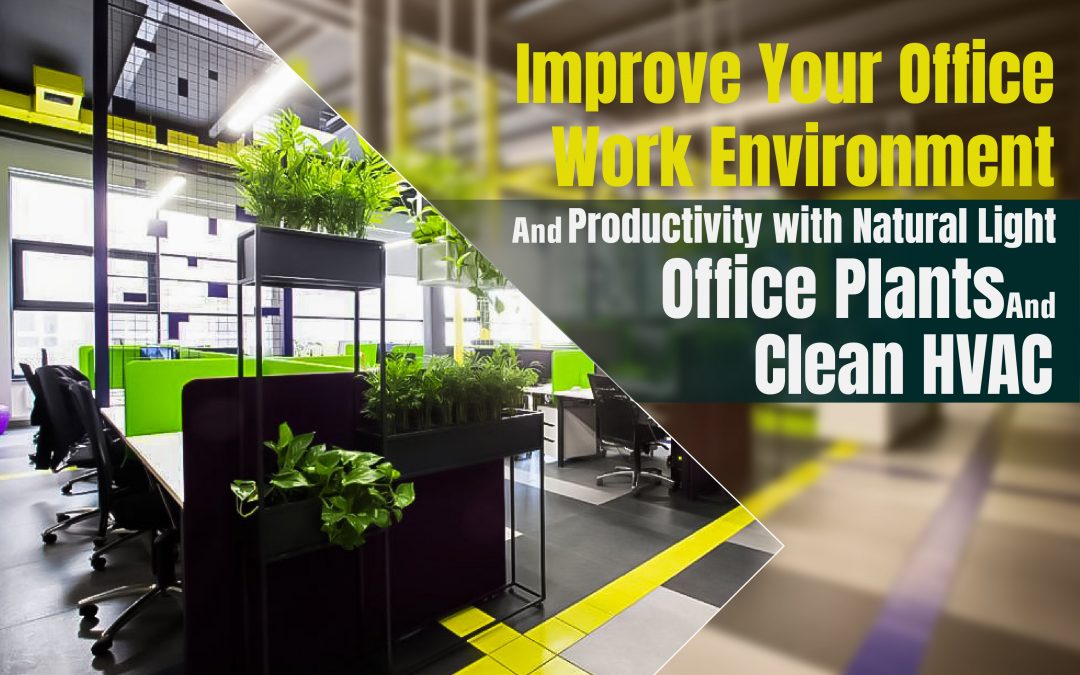 Improve Your Office Work Environment, and Productivity with Natural Light, Office Plants, and Clean HVAC