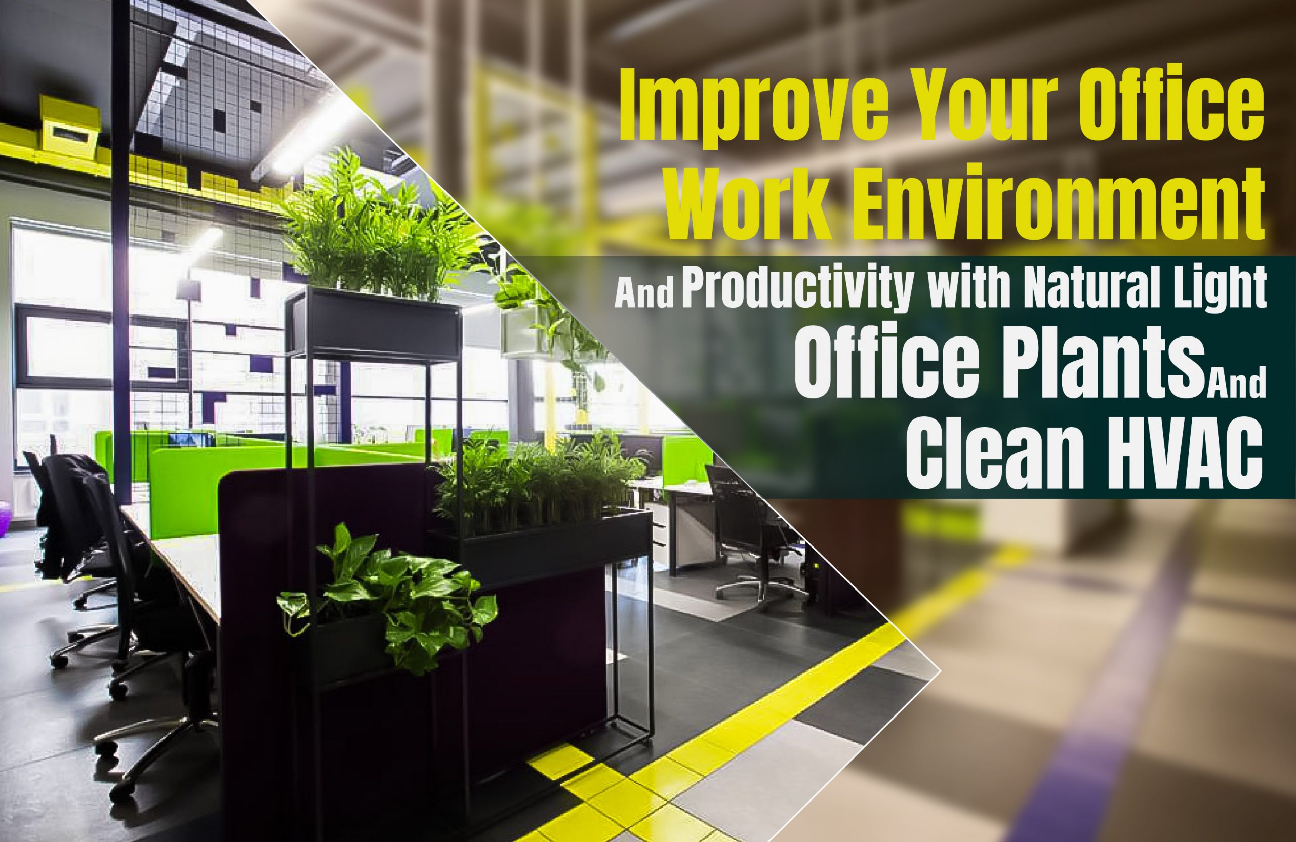 Improve Your Office Work Environment, and Productivity with Natural Light, Office Plants, and Clean HVAC