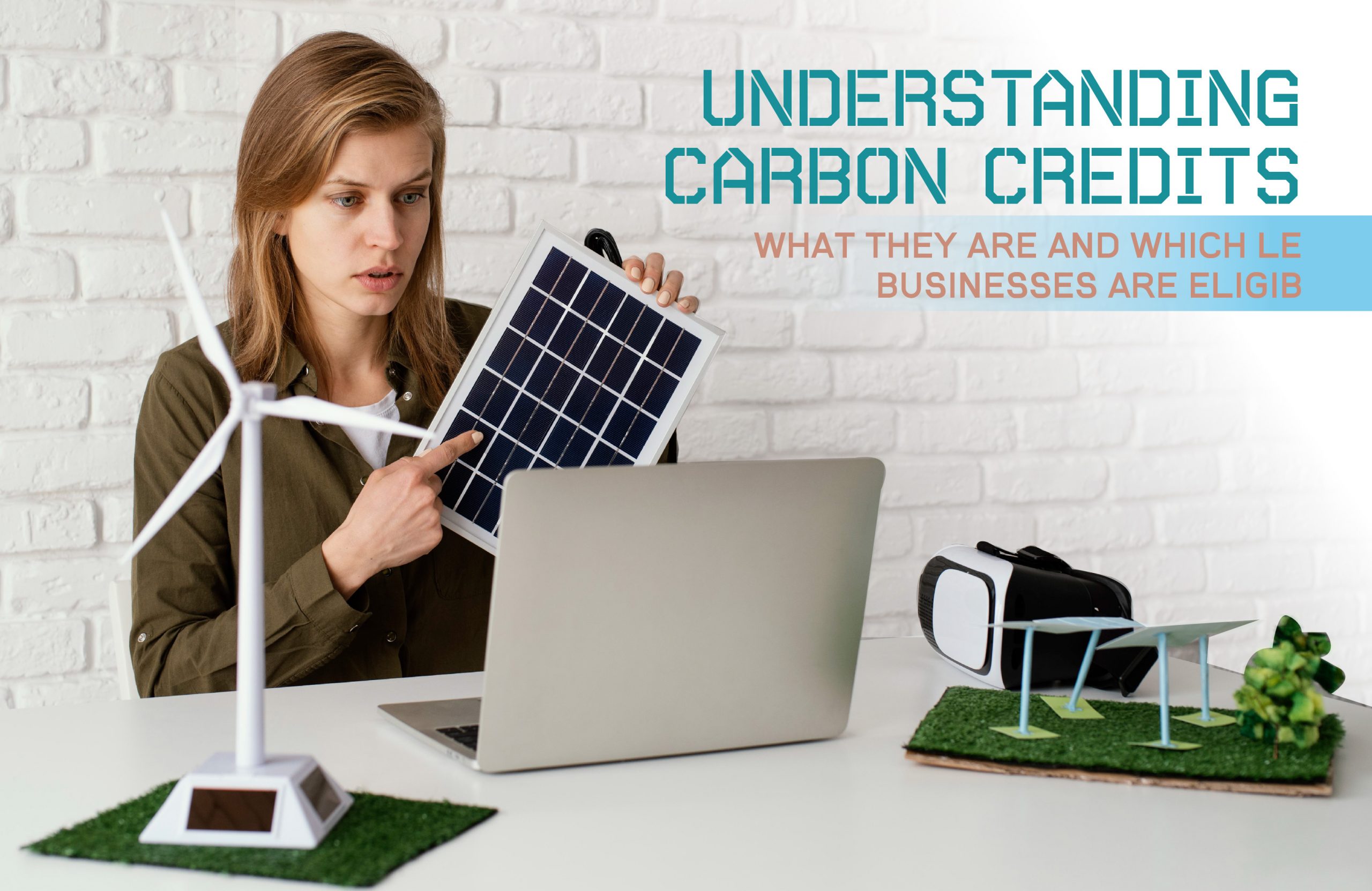 Understanding Carbon Credits: What They Are and Which - Our Business Ladder