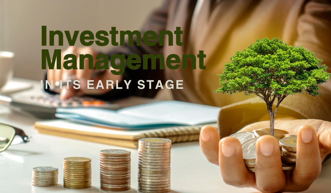 Investment Management in its Early Stage