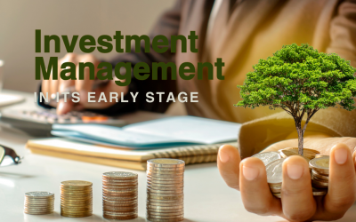 Investment Management in its Early Stage