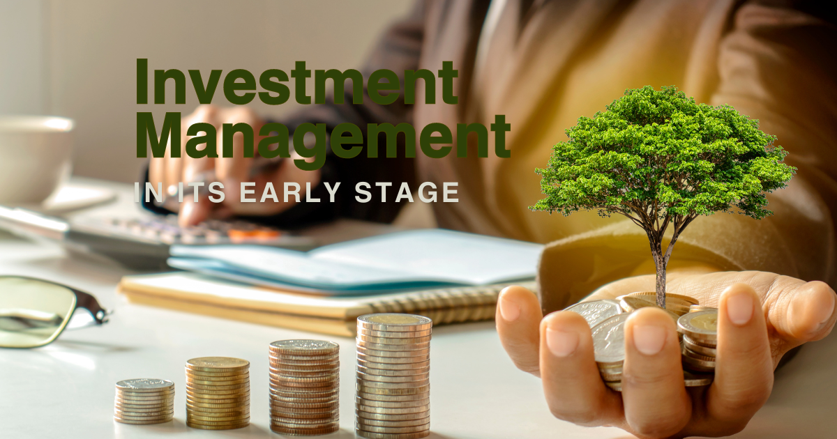 Investment Management in its Early Stage