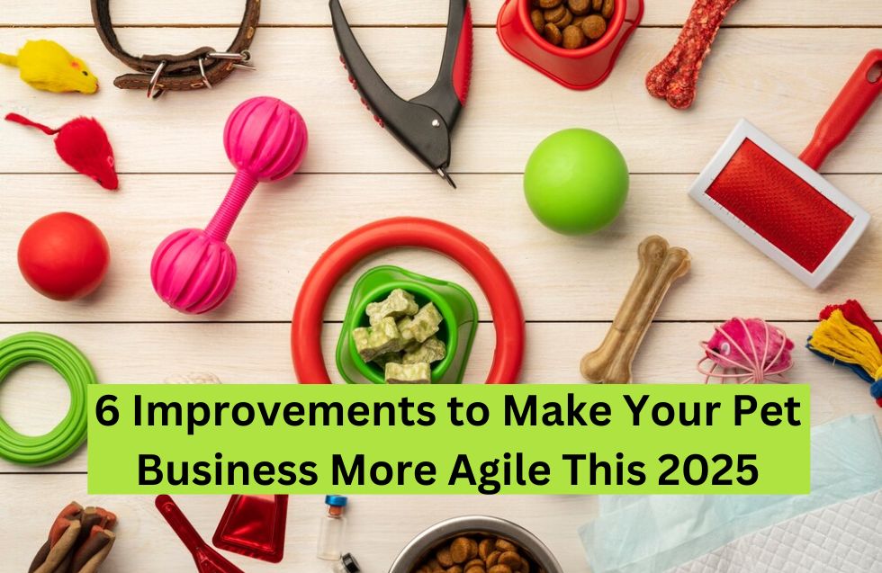 6 Improvements to Make Your Pet Business More Agile This 2025