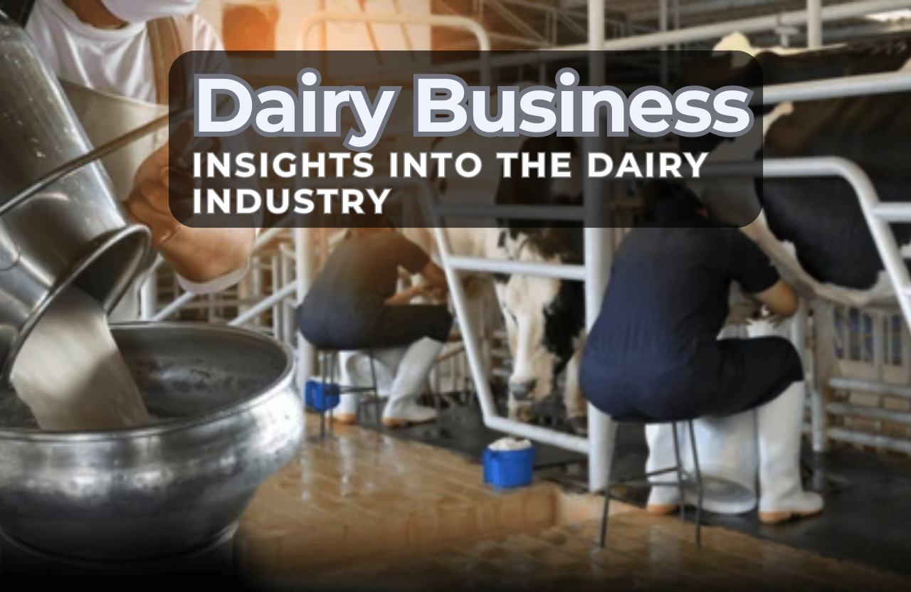 The Growing Impact of Dairy Business: Insights into the Dairy Industry