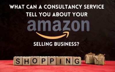 What Can a Consultancy Service Tell You About Your Amazon Selling Business