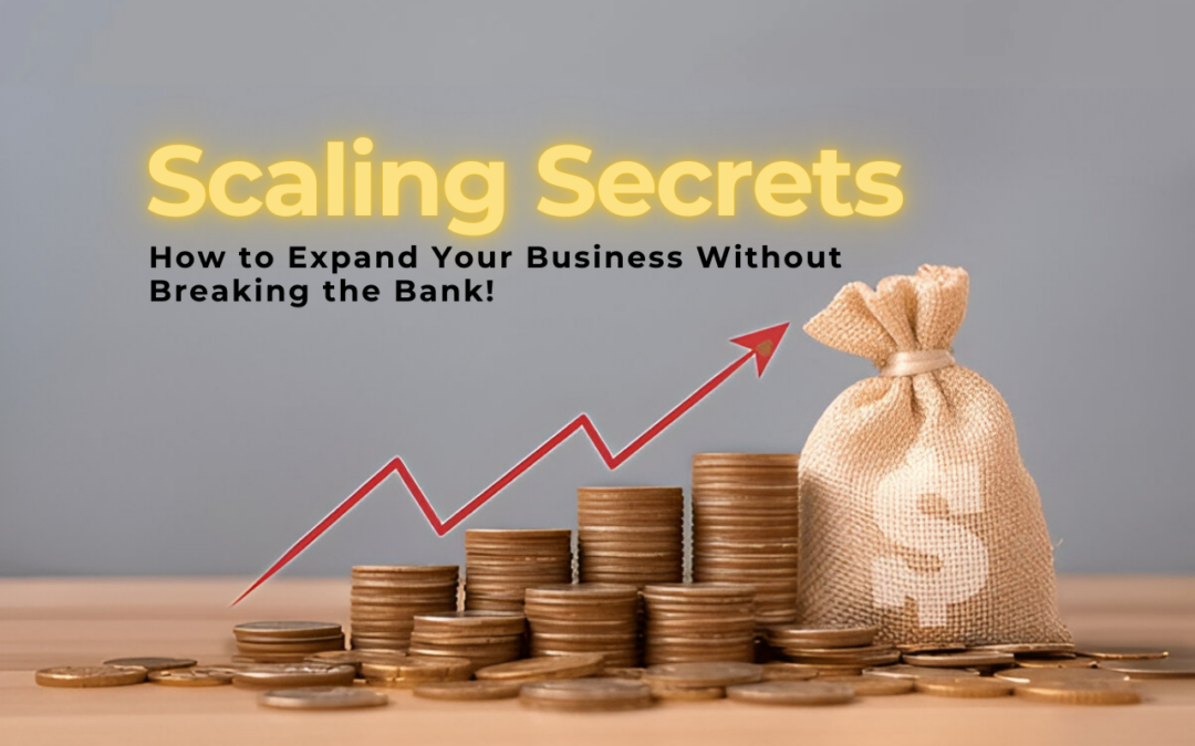 Scaling Secrets: How to Expand Your Business Without Breaking the Bank!