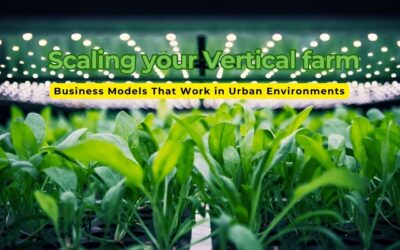 Scaling Your Vertical Farm: Business Models That Work in Urban Environments